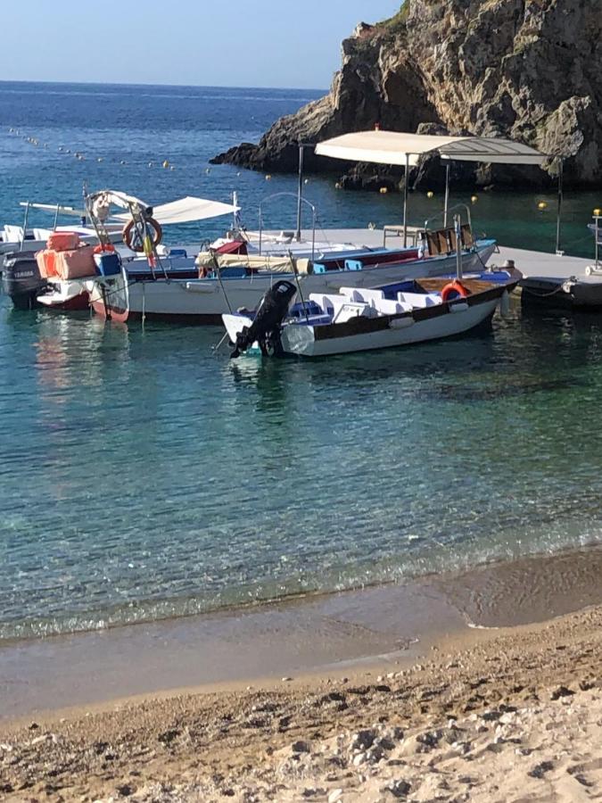 Villa Ampelaki "30 Meters To Beach" パレオカストリッツア エクステリア 写真