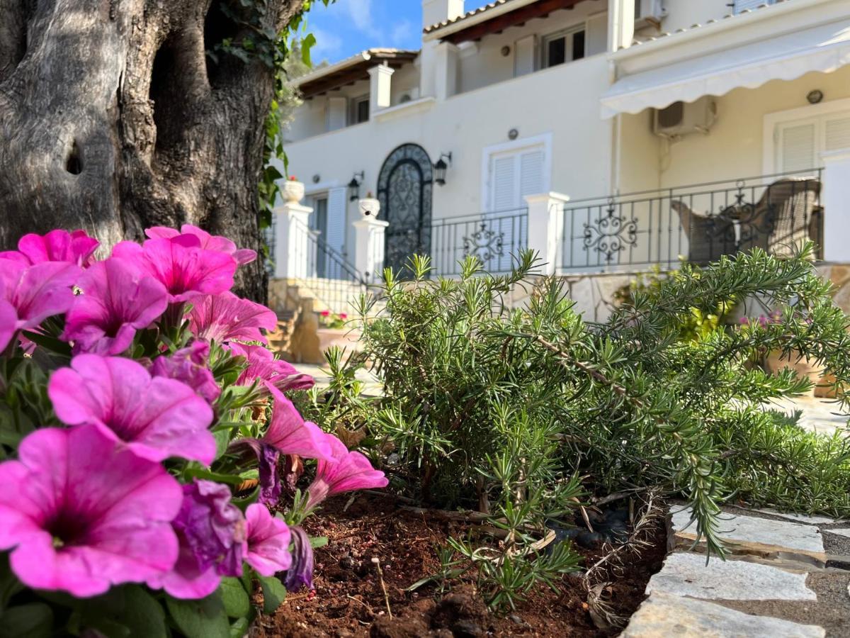Villa Ampelaki "30 Meters To Beach" パレオカストリッツア エクステリア 写真