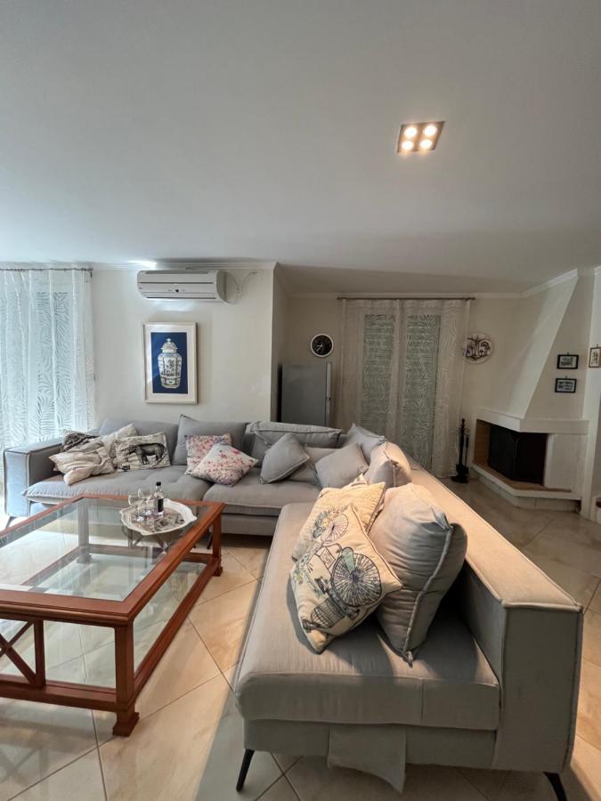 Villa Ampelaki "30 Meters To Beach" パレオカストリッツア エクステリア 写真