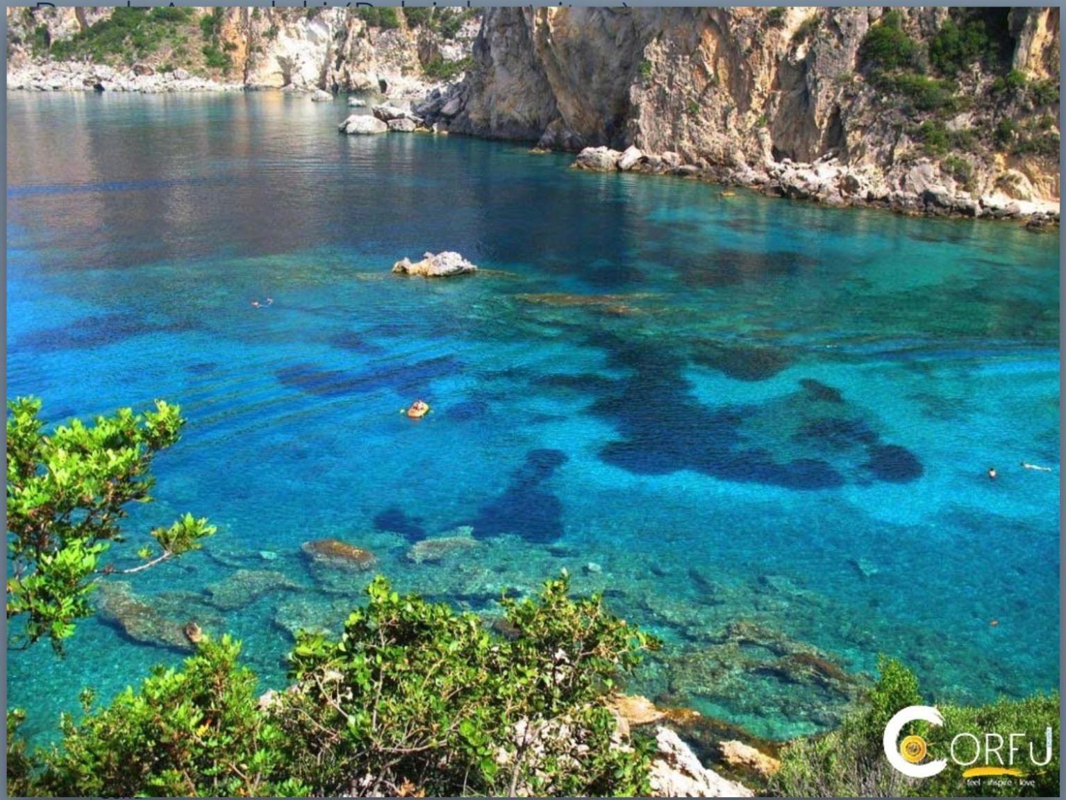 Villa Ampelaki "30 Meters To Beach" パレオカストリッツア エクステリア 写真